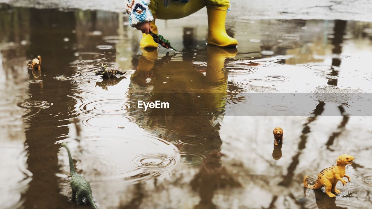 Low section of a boy playing with dinosaur on puddle during rainy season