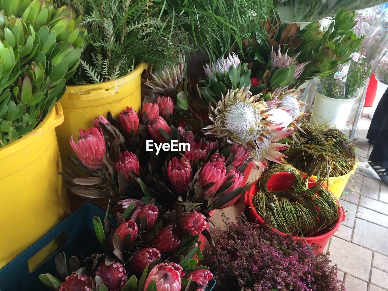 HIGH ANGLE VIEW OF VARIOUS FLOWERS FOR SALE AT MARKET STALL