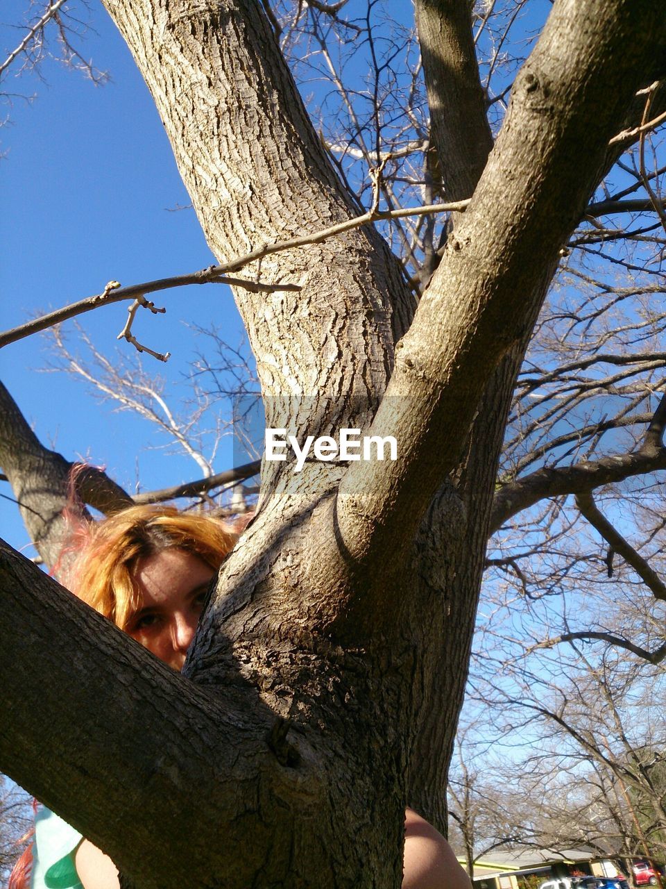 Woman peeping through tree in park