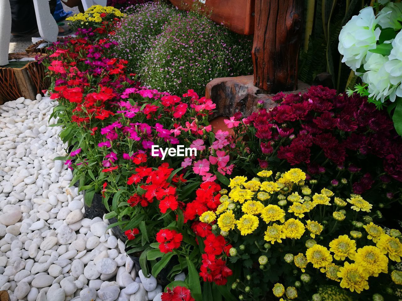 CLOSE-UP OF FLOWER BOUQUET AGAINST PLANTS