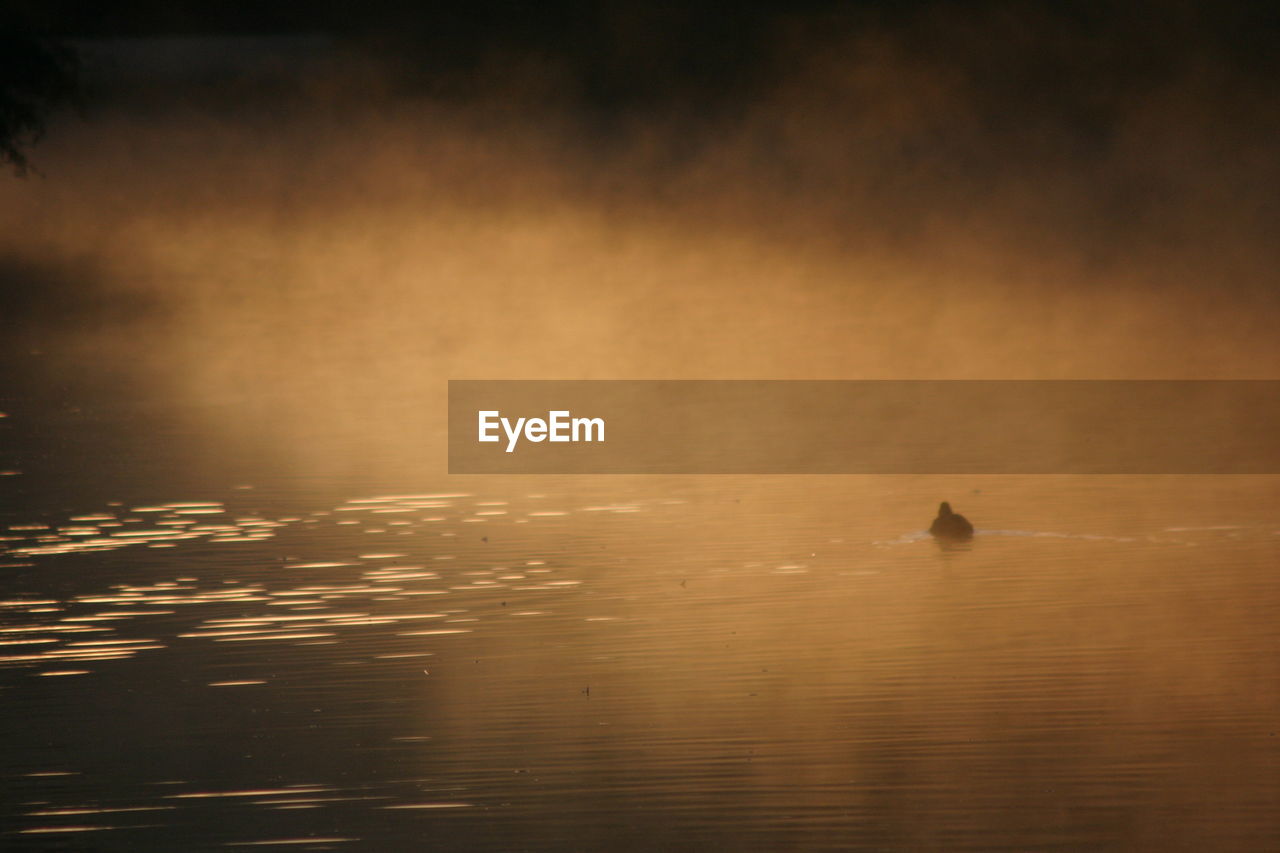 SCENIC VIEW OF CALM SEA AT SUNSET