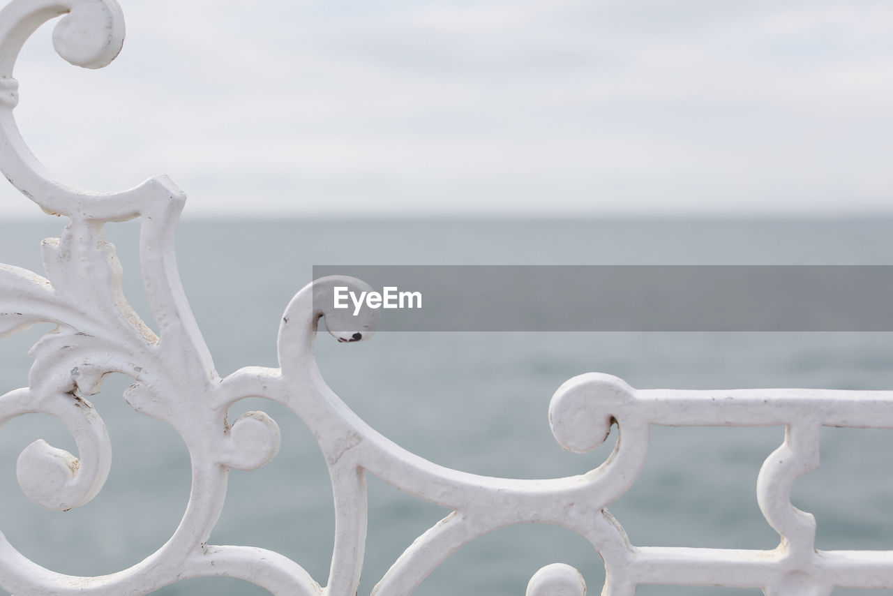 CLOSE-UP OF WHITE SWAN ON RAILING AGAINST SEA