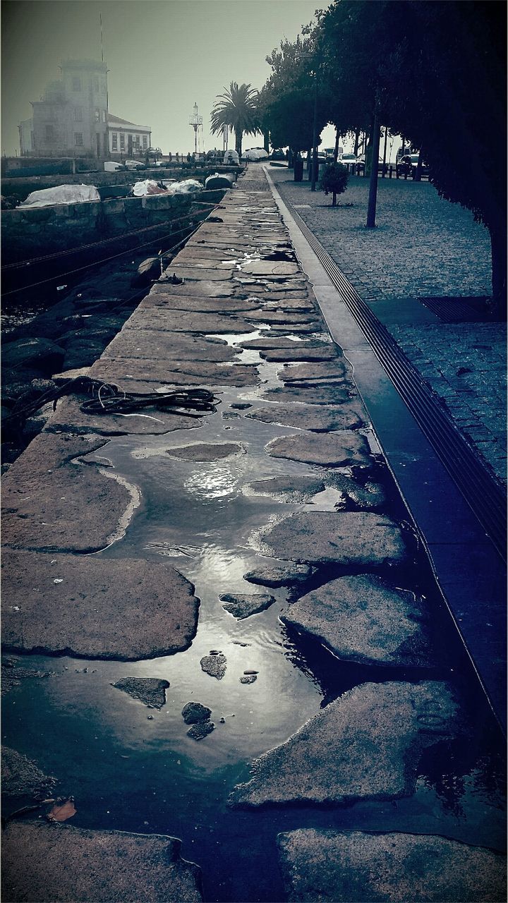 Wet sidewalk along with trees