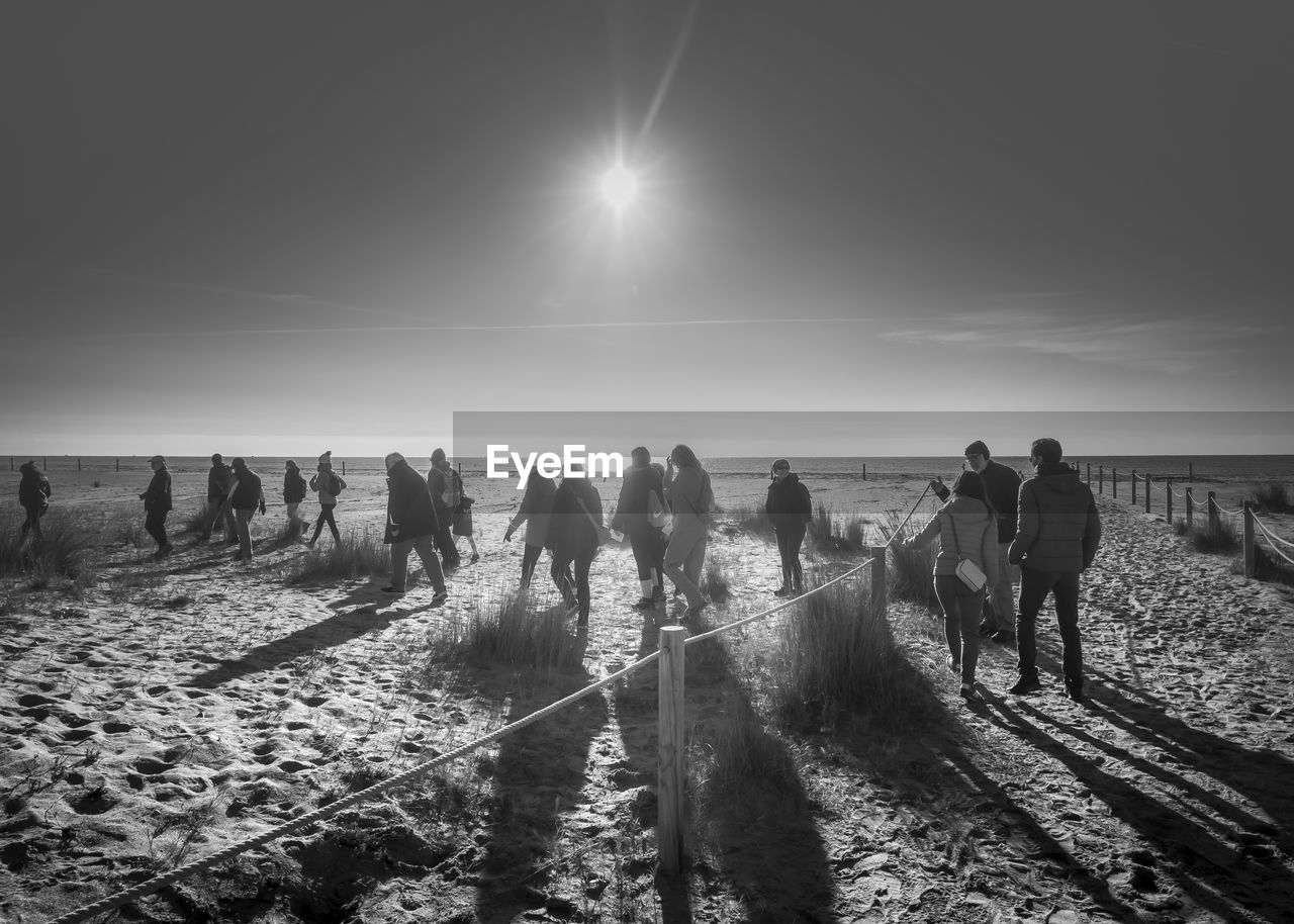 group of people, sky, black and white, nature, large group of people, crowd, monochrome photography, land, monochrome, animal, men, sunlight, mammal, adult, animal themes, walking, horizon, domestic animals, environment, landscape, water, person, livestock, outdoors, day, sea, group of animals, sun, lifestyles, women, beach, animal wildlife, group, occupation, travel