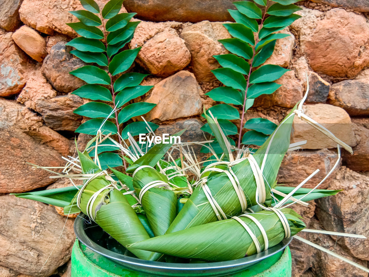 High angle view of potted plant