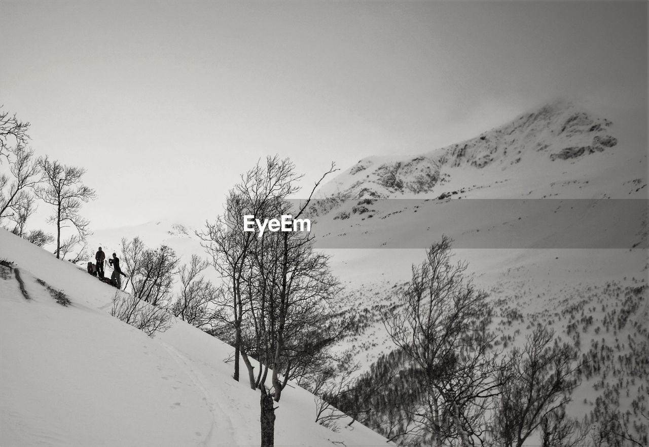 SCENIC VIEW OF SNOW COVERED LANDSCAPE AGAINST SKY