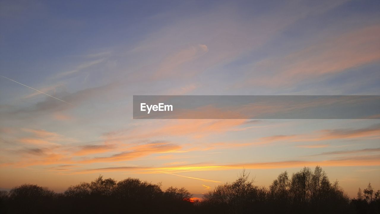 LOW ANGLE VIEW OF SILHOUETTE TREES AGAINST SKY