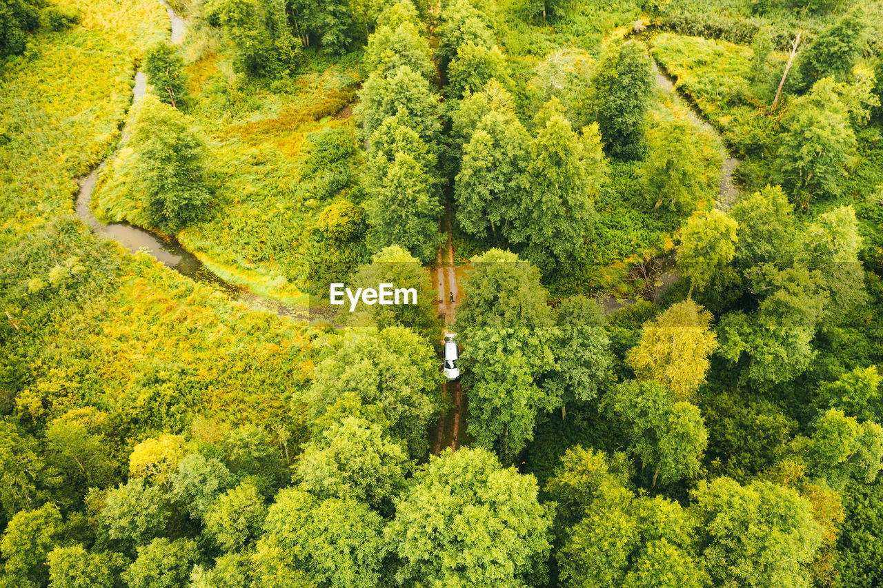 Aerial landscape of winding river in green field, top view of beautiful nature background from drone