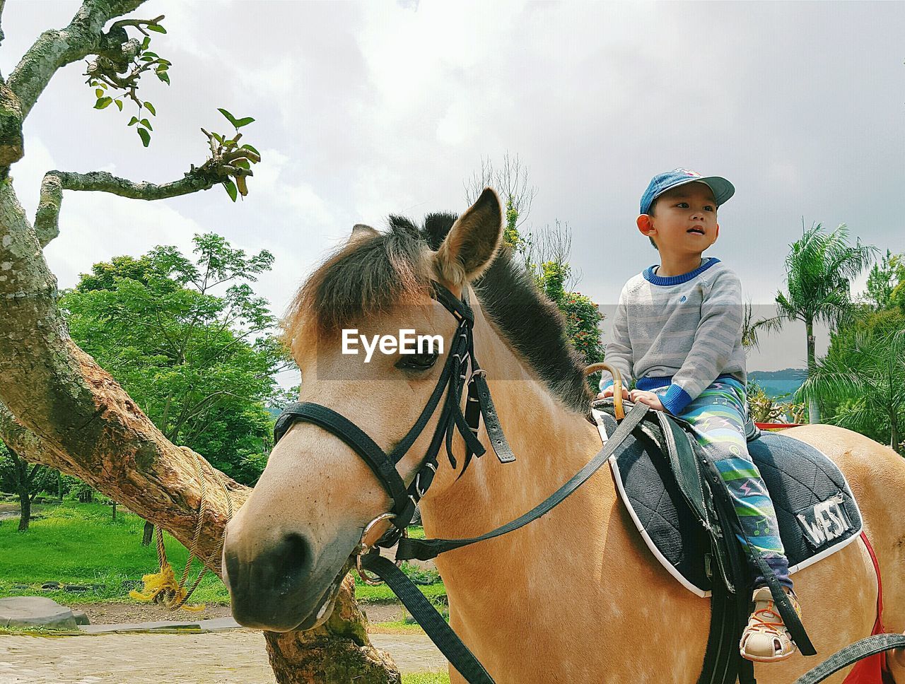 Low angle view of boy riding horse against sky