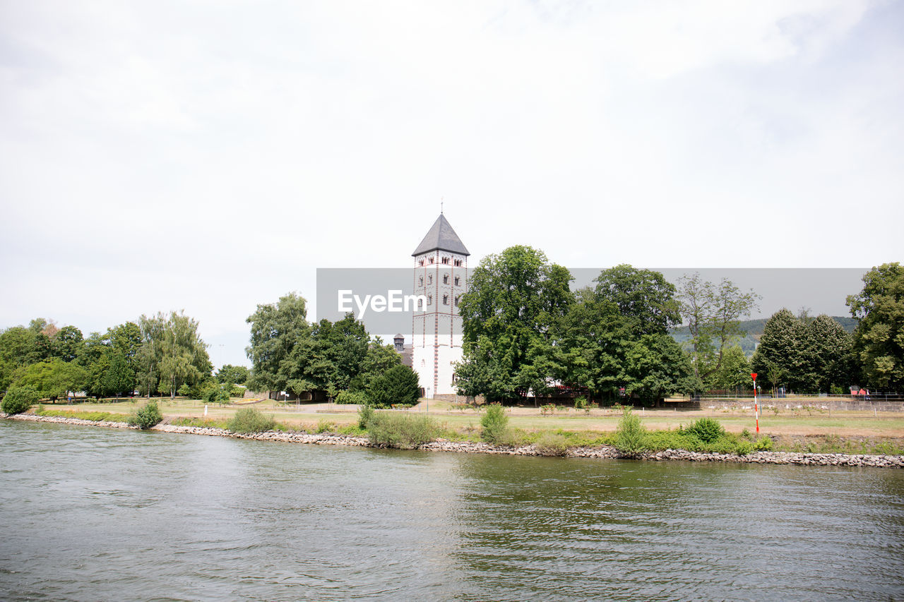 VIEW OF RIVER WITH PLANTS IN FOREGROUND