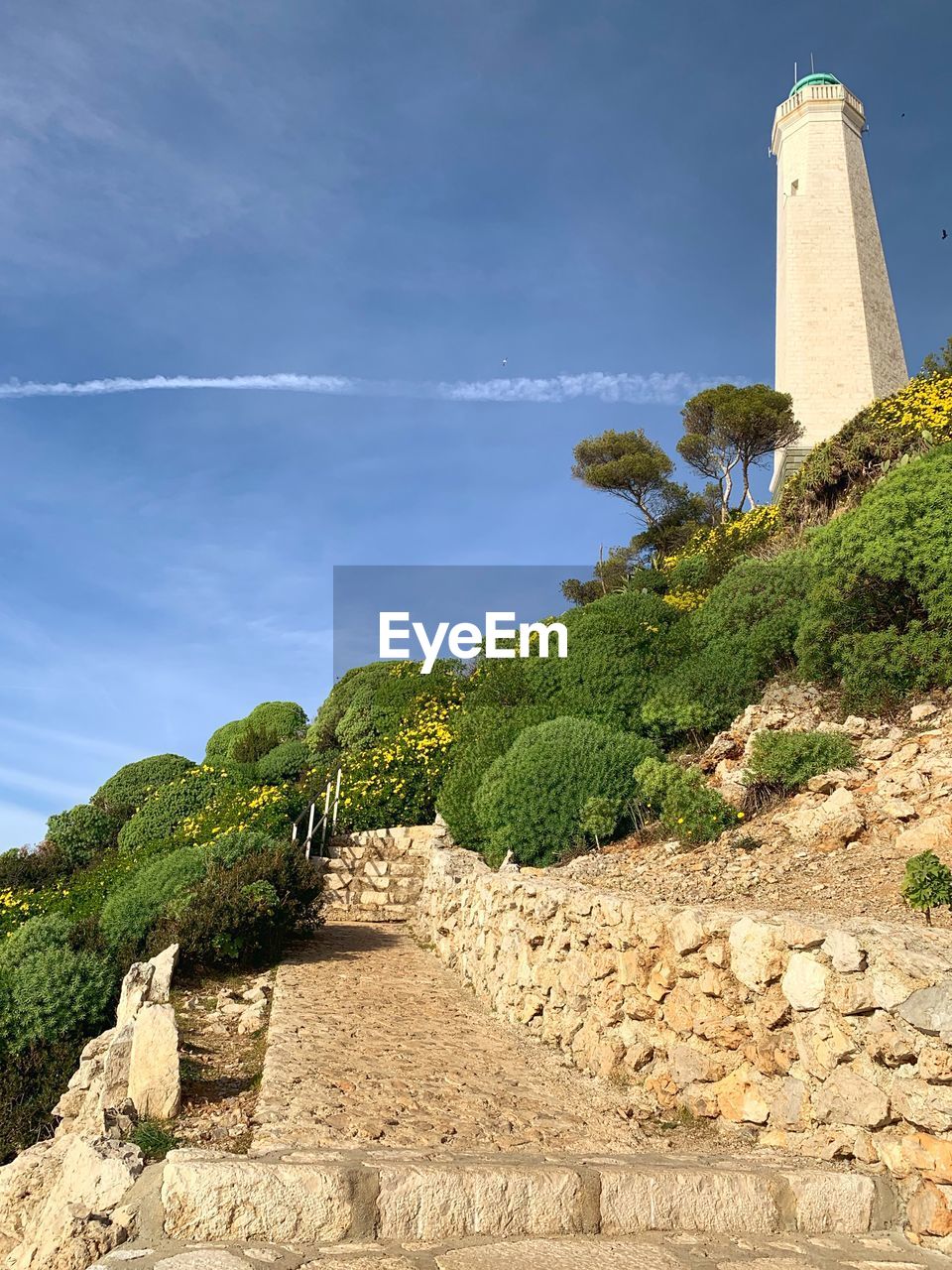 Low angle view of palm tree and buildings against sky