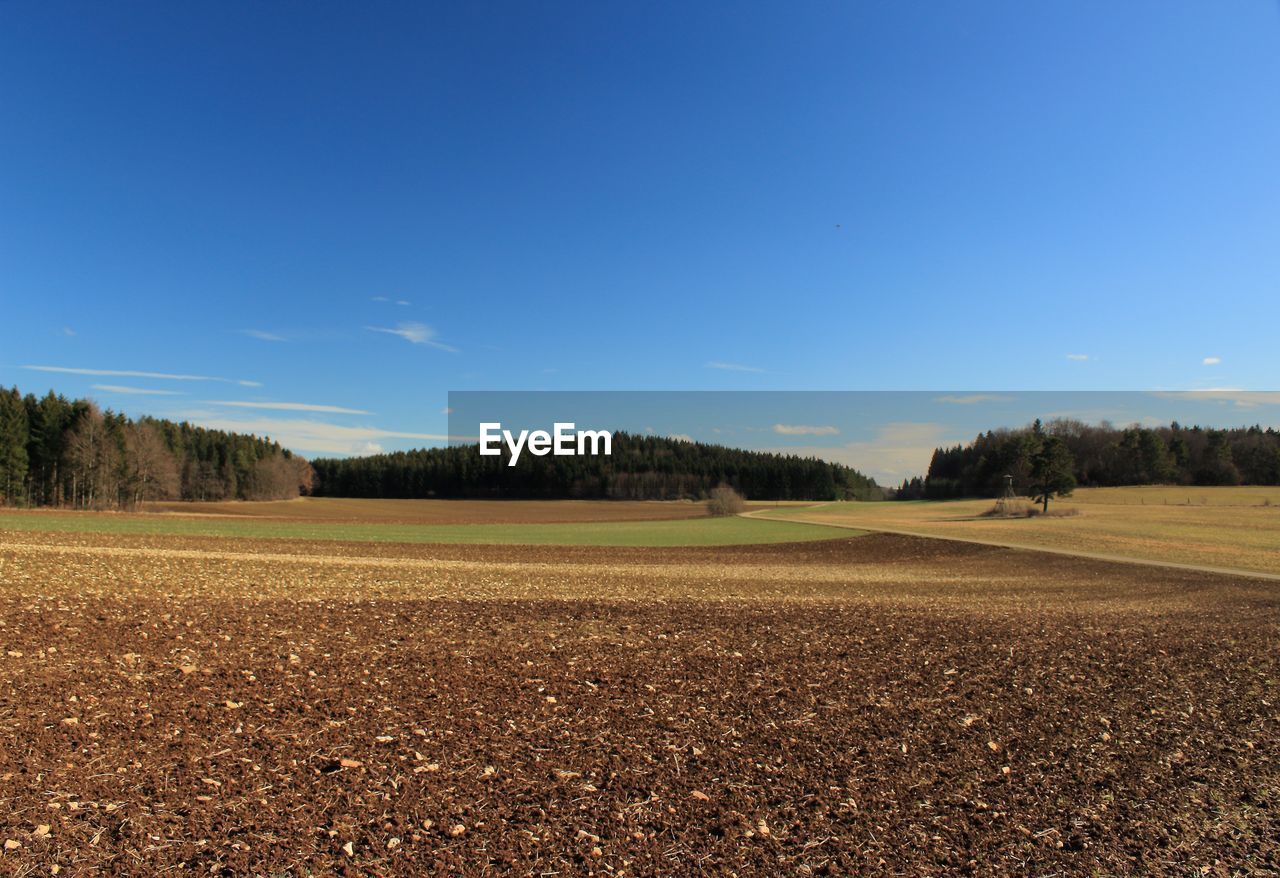 horizon, sky, landscape, field, plant, environment, land, plain, agriculture, tree, nature, blue, scenics - nature, rural scene, grass, soil, no people, grassland, rural area, prairie, tranquility, hill, beauty in nature, tranquil scene, morning, crop, cloud, day, clear sky, farm, outdoors, growth, non-urban scene, copy space, sunlight, cereal plant