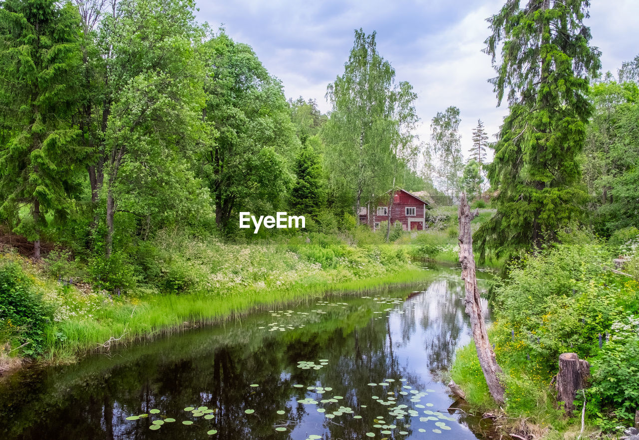 RIVER AMIDST TREES AND BUILDINGS AGAINST SKY