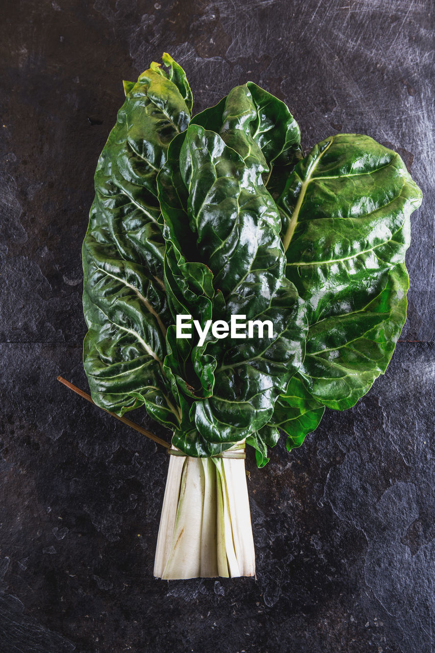 HIGH ANGLE VIEW OF GREEN LEAVES AND VEGETABLES