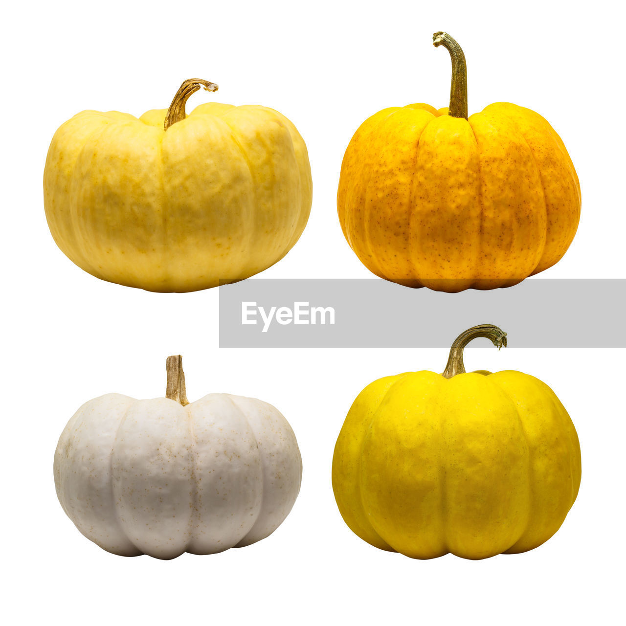Close-up of pumpkins against white background