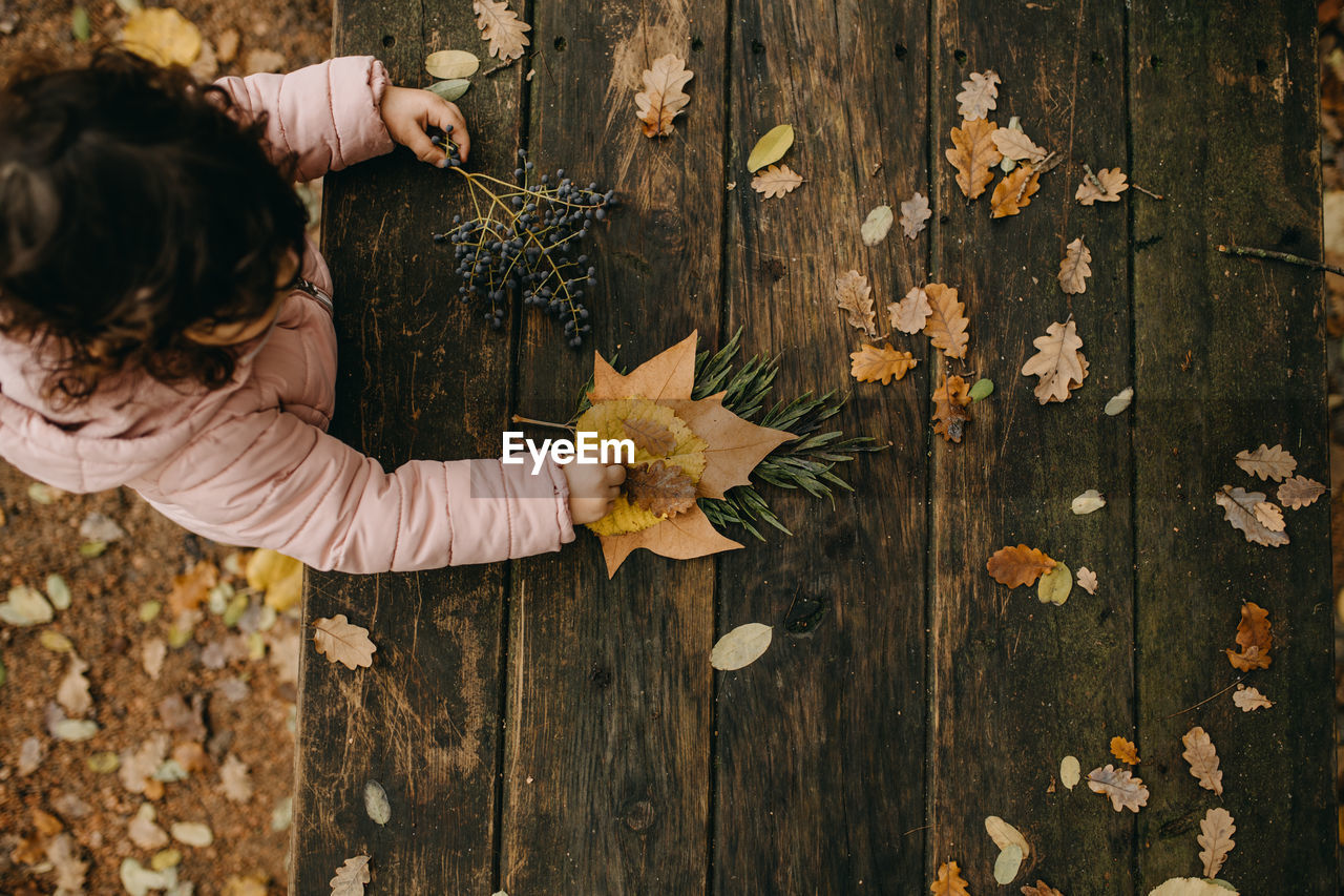 High angle view of child with autumn leaves on wood