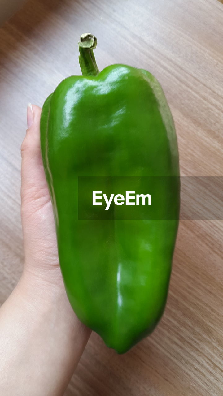 CLOSE-UP OF HAND HOLDING GREEN BELL PEPPERS