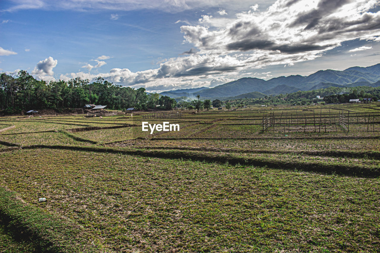 SCENIC VIEW OF AGRICULTURAL LANDSCAPE AGAINST SKY