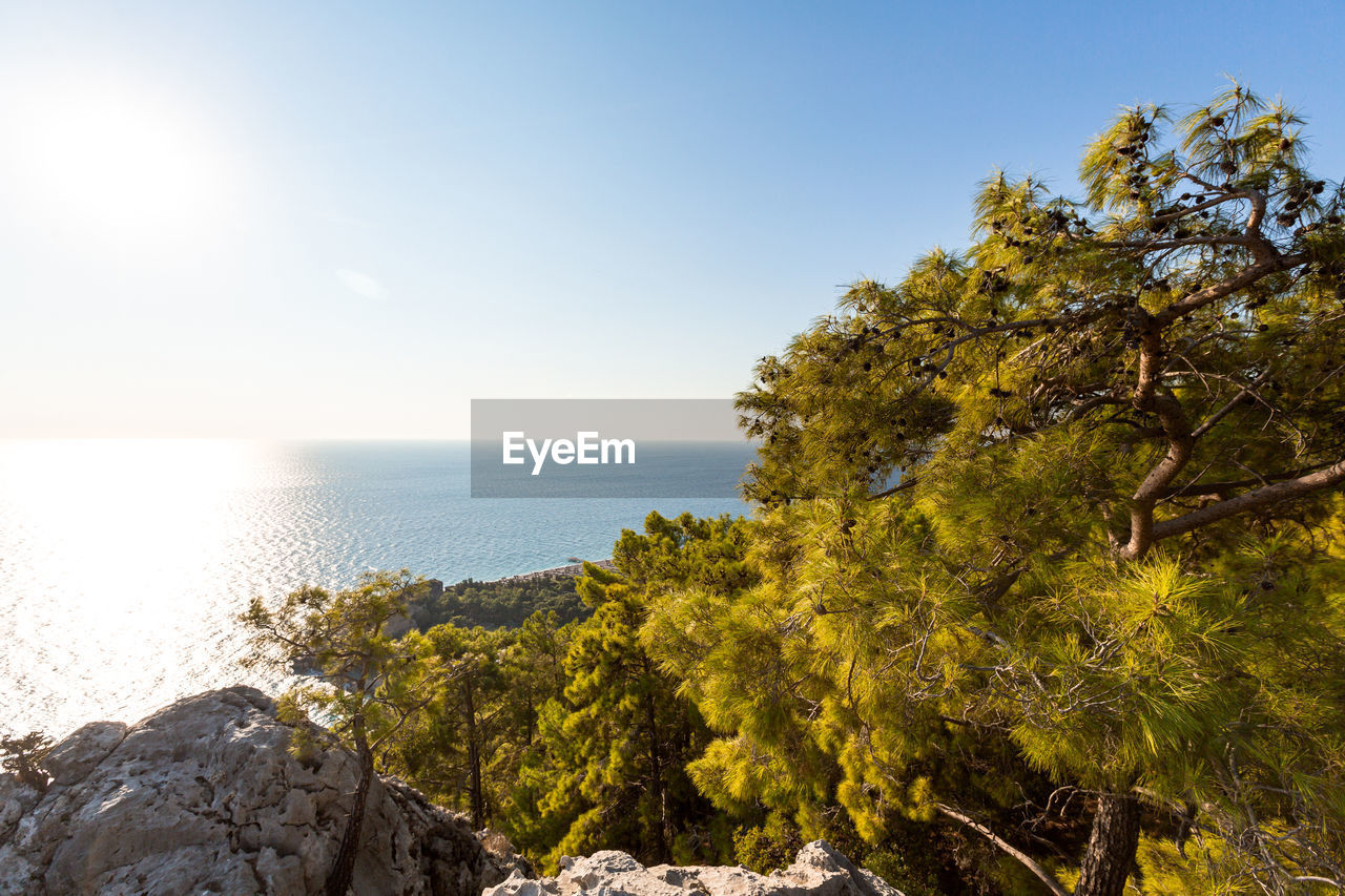 Beautiful view through the branches of the blue sea