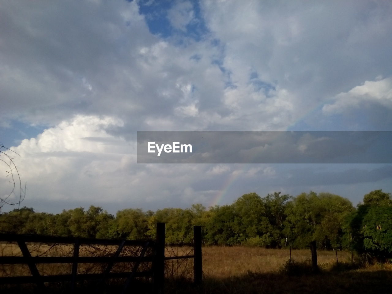 View of trees in field against cloudy sky