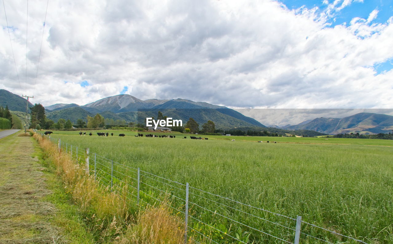 SCENIC VIEW OF FIELD AGAINST CLOUDY SKY