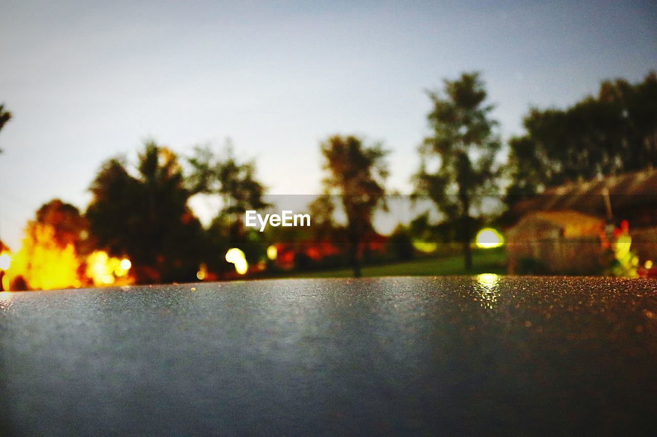 VIEW OF TREES AGAINST SKY