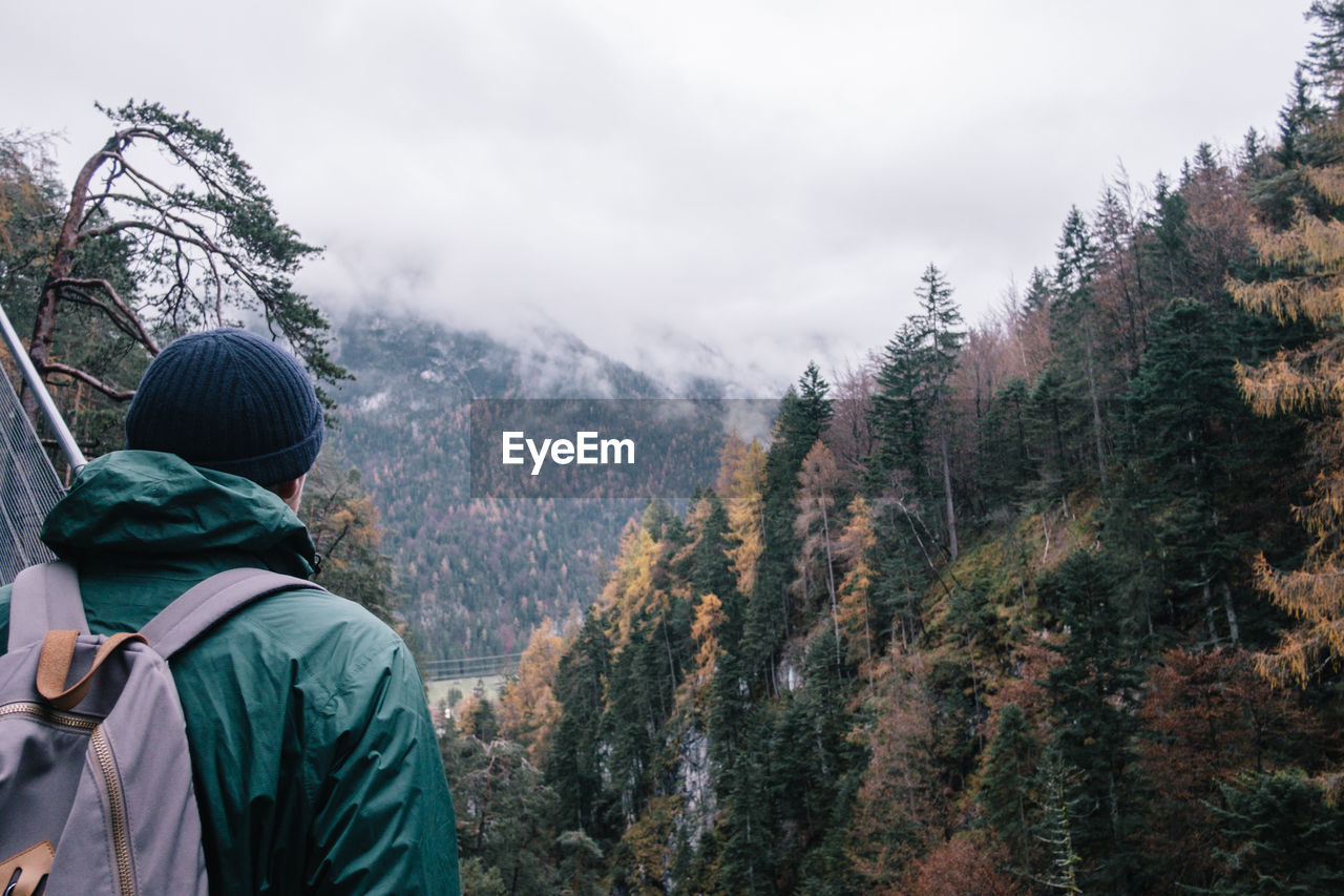 Rear view of man looking at forest during winter