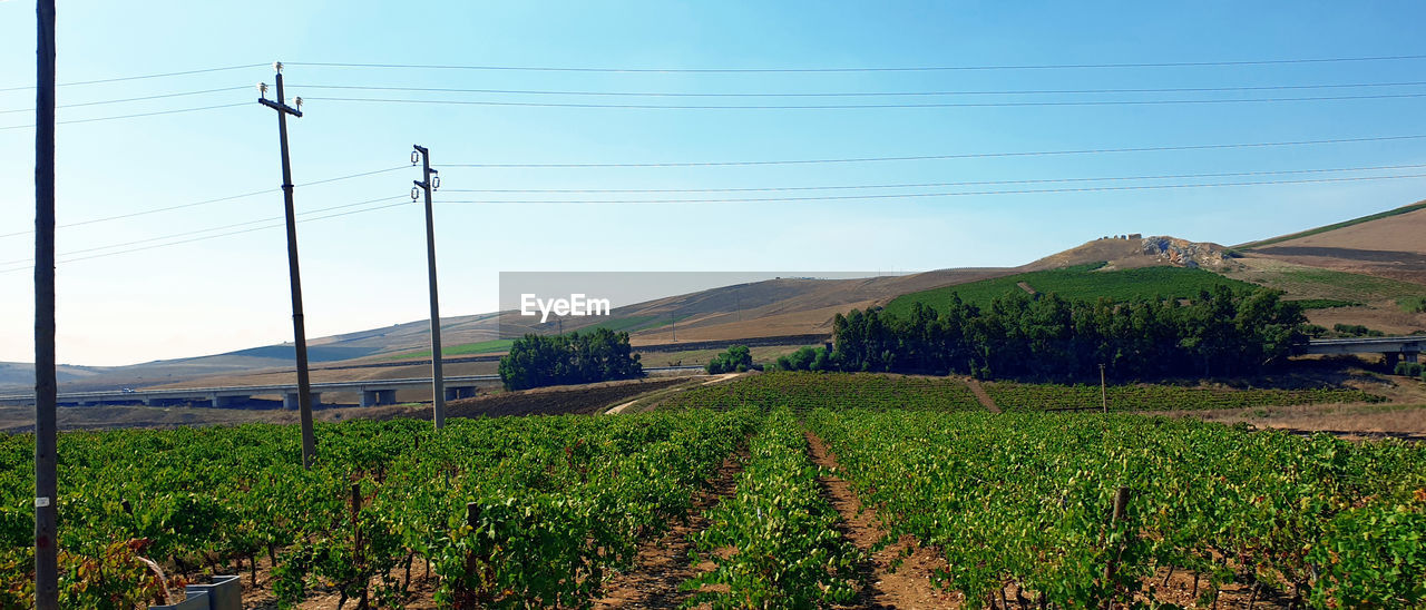 SCENIC VIEW OF FARM AGAINST SKY