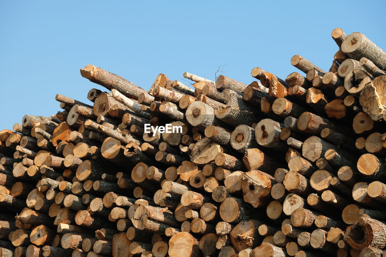 LOW ANGLE VIEW OF STACK OF LOGS AGAINST SKY