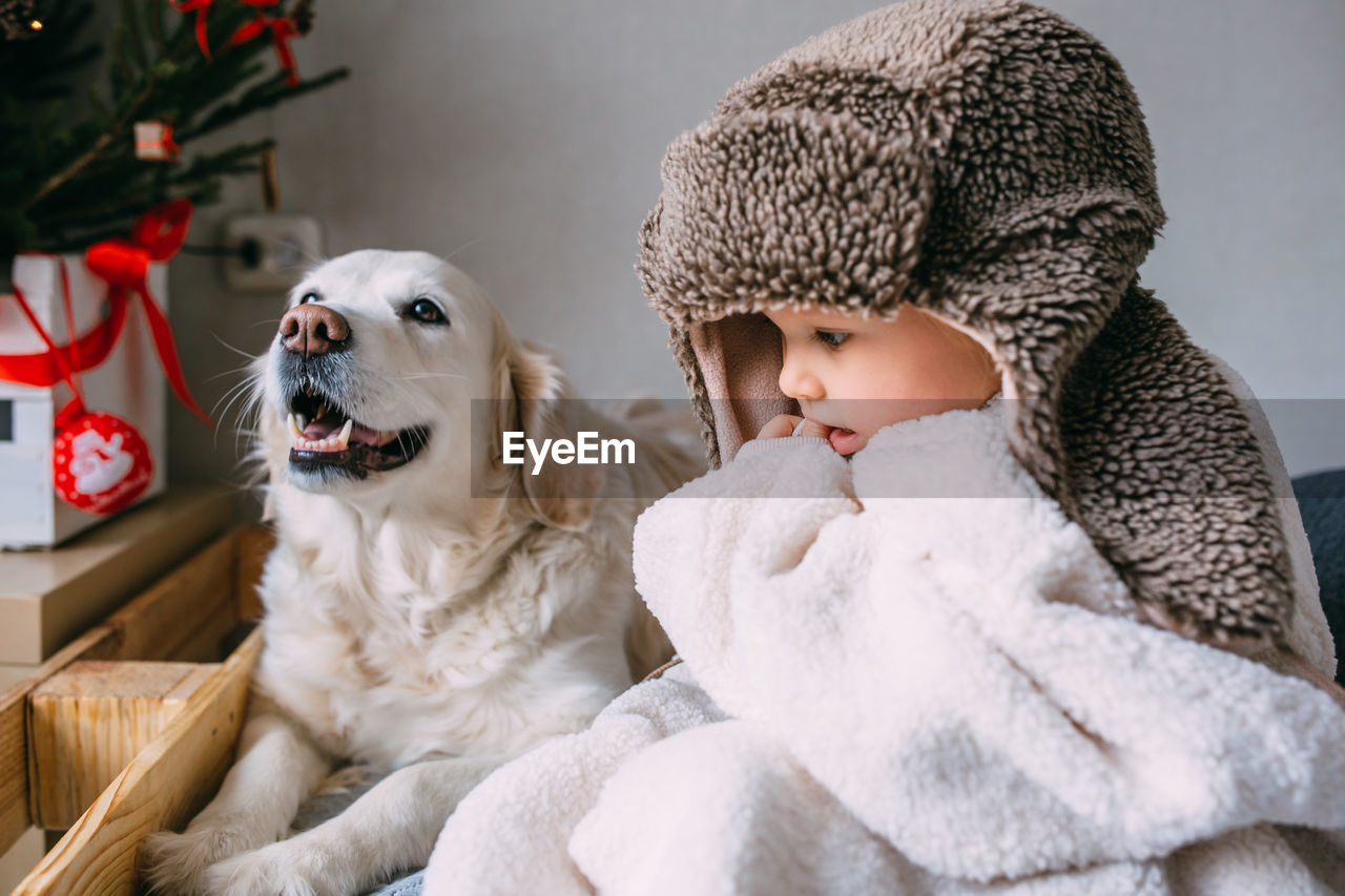 Cute child and his labrador retriever at home on the bed near the christmas tree