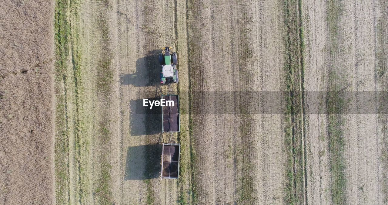 high angle view, agriculture, land, field, day, rural scene, nature, farm, landscape, plant, wall, growth, crop, aerial view, outdoors, green, no people, environment, occupation, working, agricultural machinery, sunlight, scenics - nature