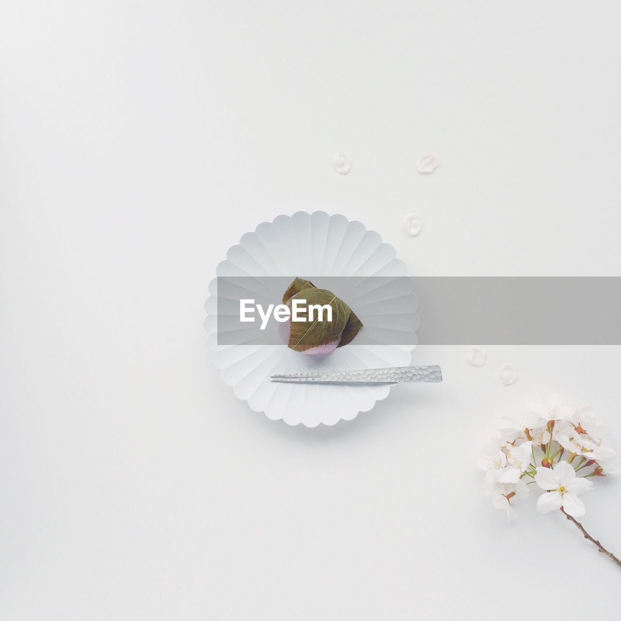 HIGH ANGLE VIEW OF FOOD ON WHITE BACKGROUND