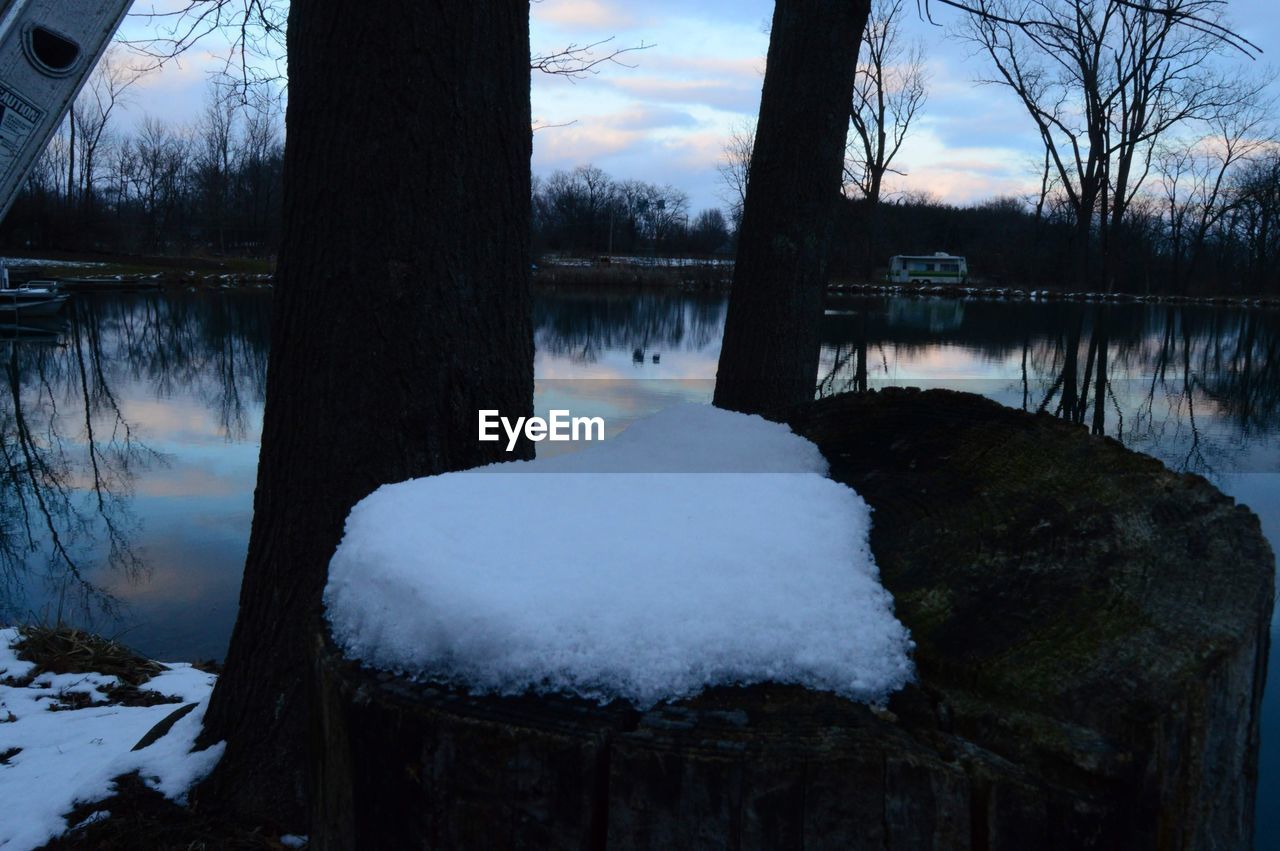 FROZEN LAKE BY TREES