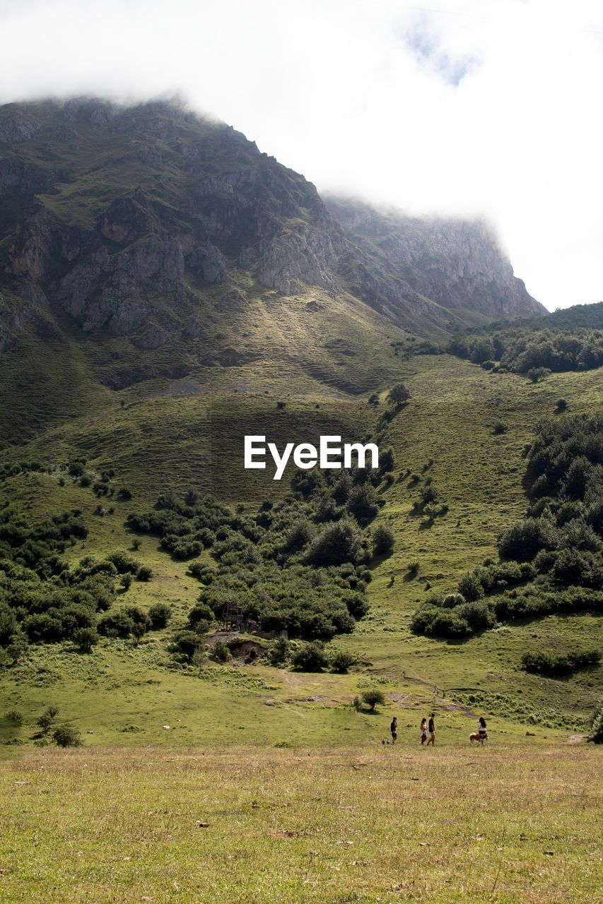 SCENIC VIEW OF MOUNTAINS
