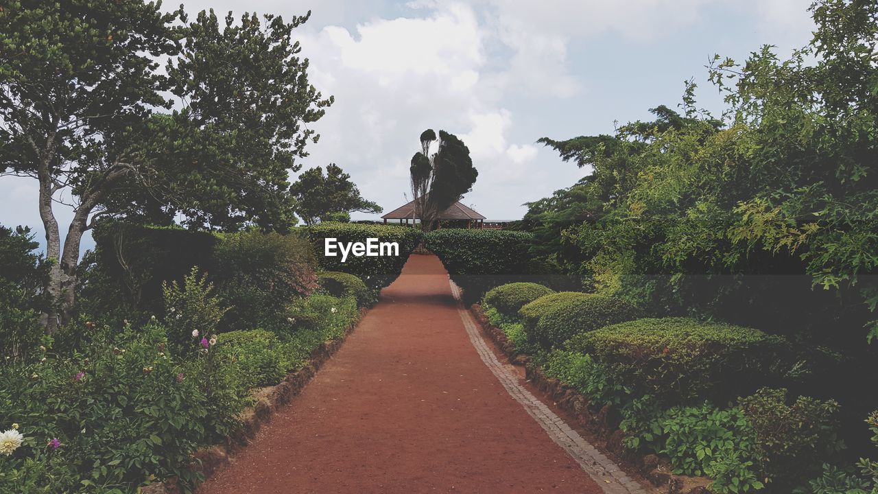 MAN AMIDST PLANTS AGAINST SKY