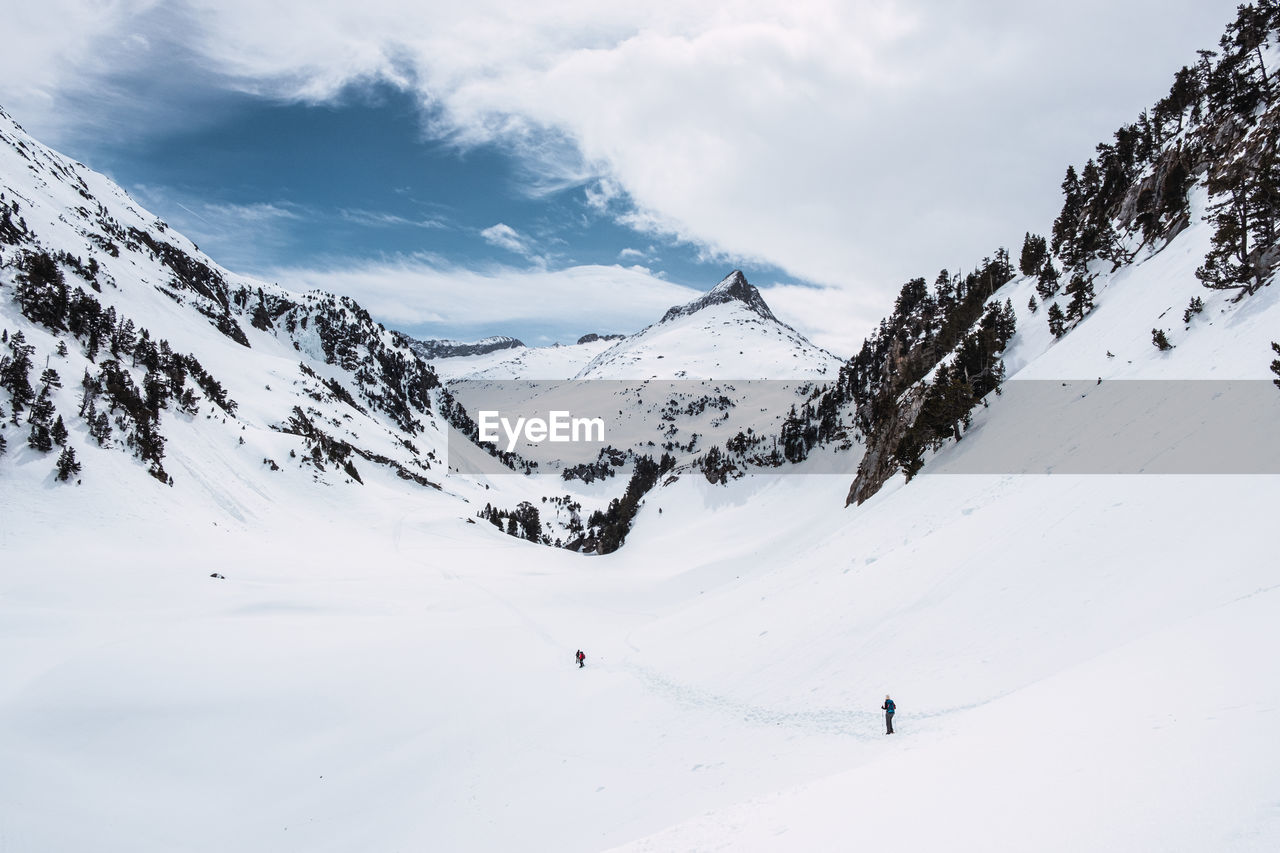 Traveler skiing on valley against mountain slope covered with coniferous trees and snow in sunny winter day