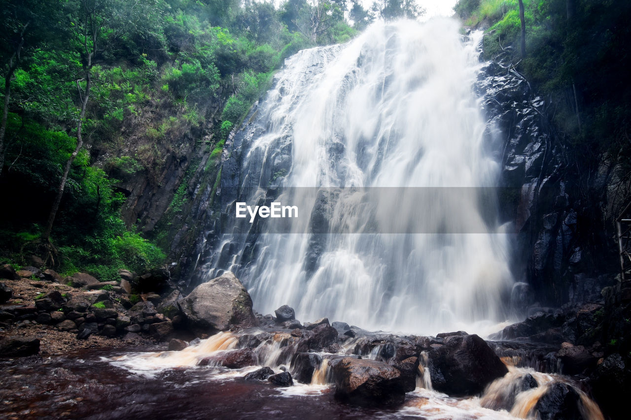 WATERFALL IN A FOREST
