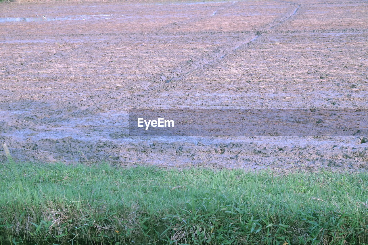 RURAL LANDSCAPE