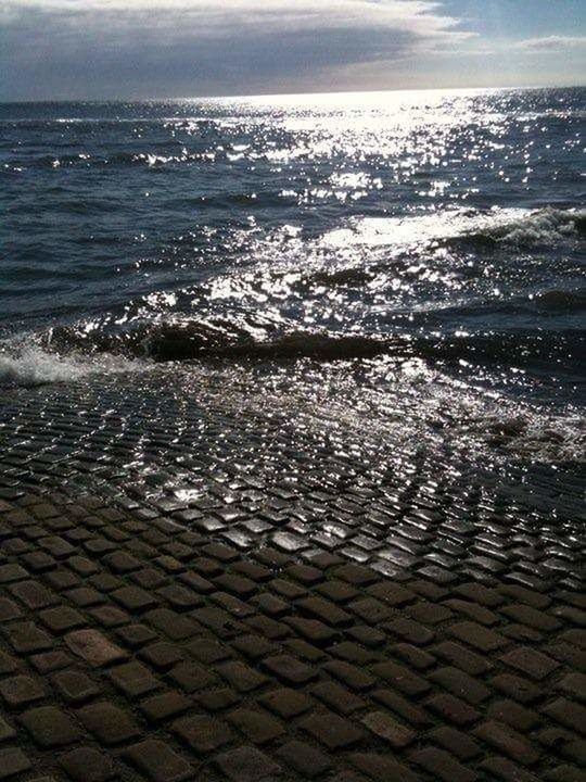 SCENIC VIEW OF BEACH