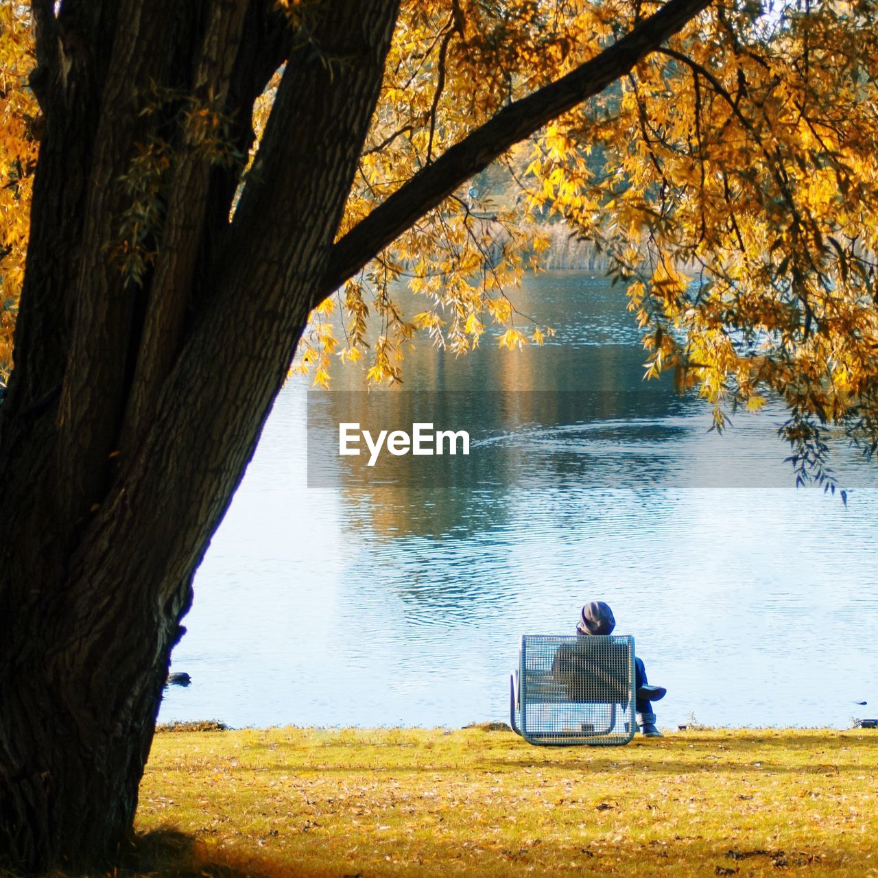 Full length rear view of person sitting on bench by lake during autumn