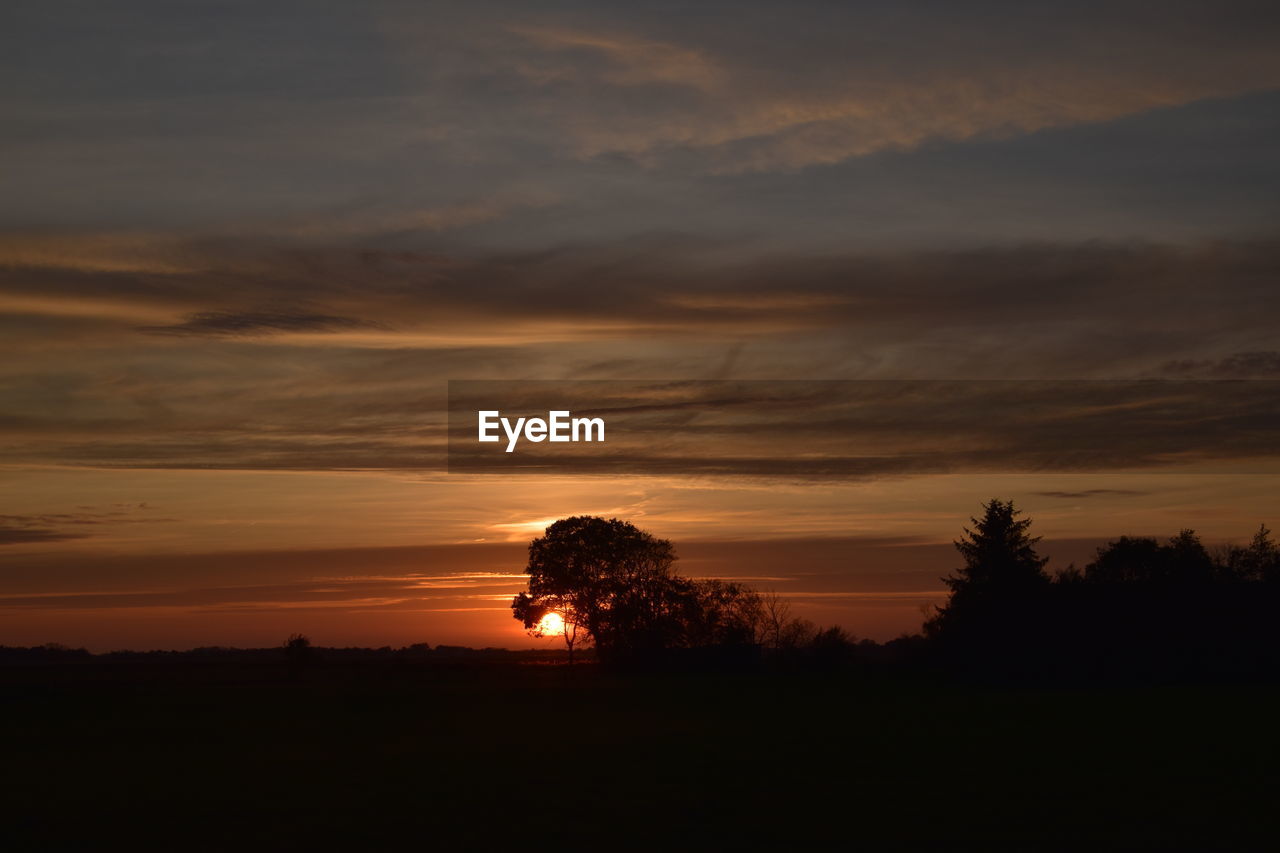 Silhouette trees on field against orange sky