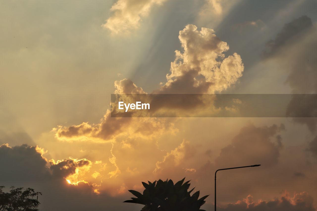 LOW ANGLE VIEW OF SILHOUETTE TREE AGAINST SKY AT SUNSET