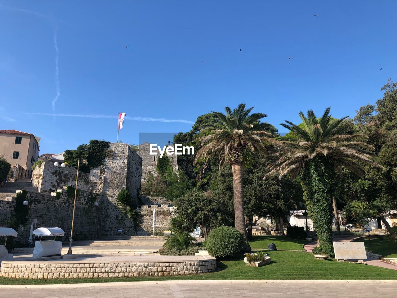 PALM TREES AGAINST CLEAR BLUE SKY IN CITY