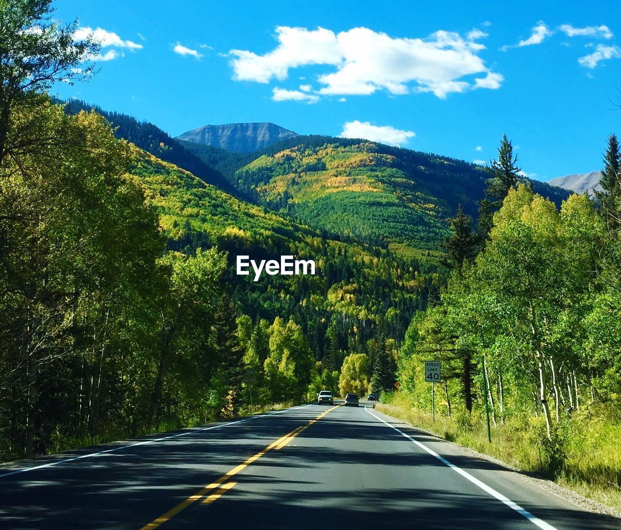 Road leading towards tree mountains