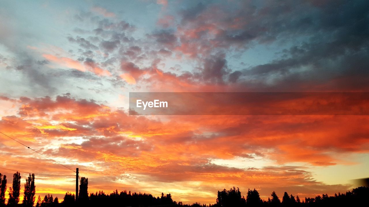 SILHOUETTE OF TREES AGAINST CLOUDY SKY DURING SUNSET