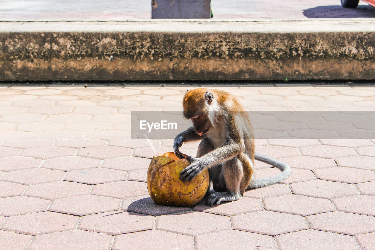 YOUNG MAN EATING FOOD ON FOOTPATH