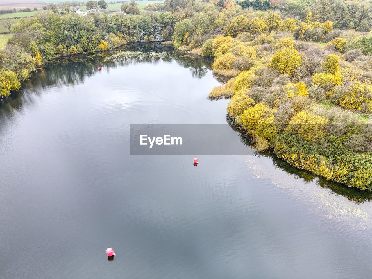 HIGH ANGLE VIEW OF RIVER BY TREES