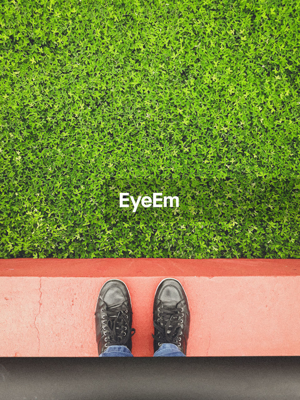 Low section of person standing on retaining wall