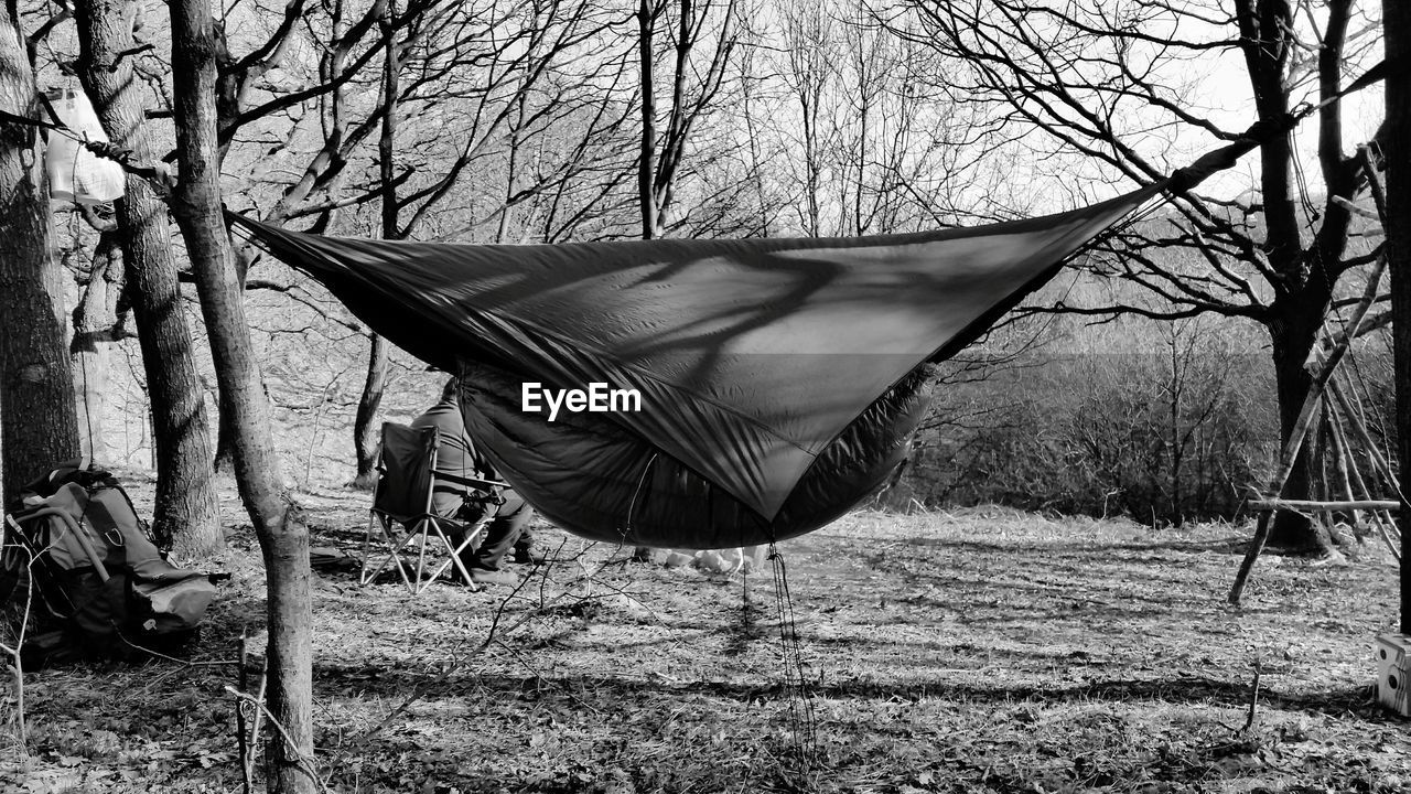 Hammock hanging by trees in forest