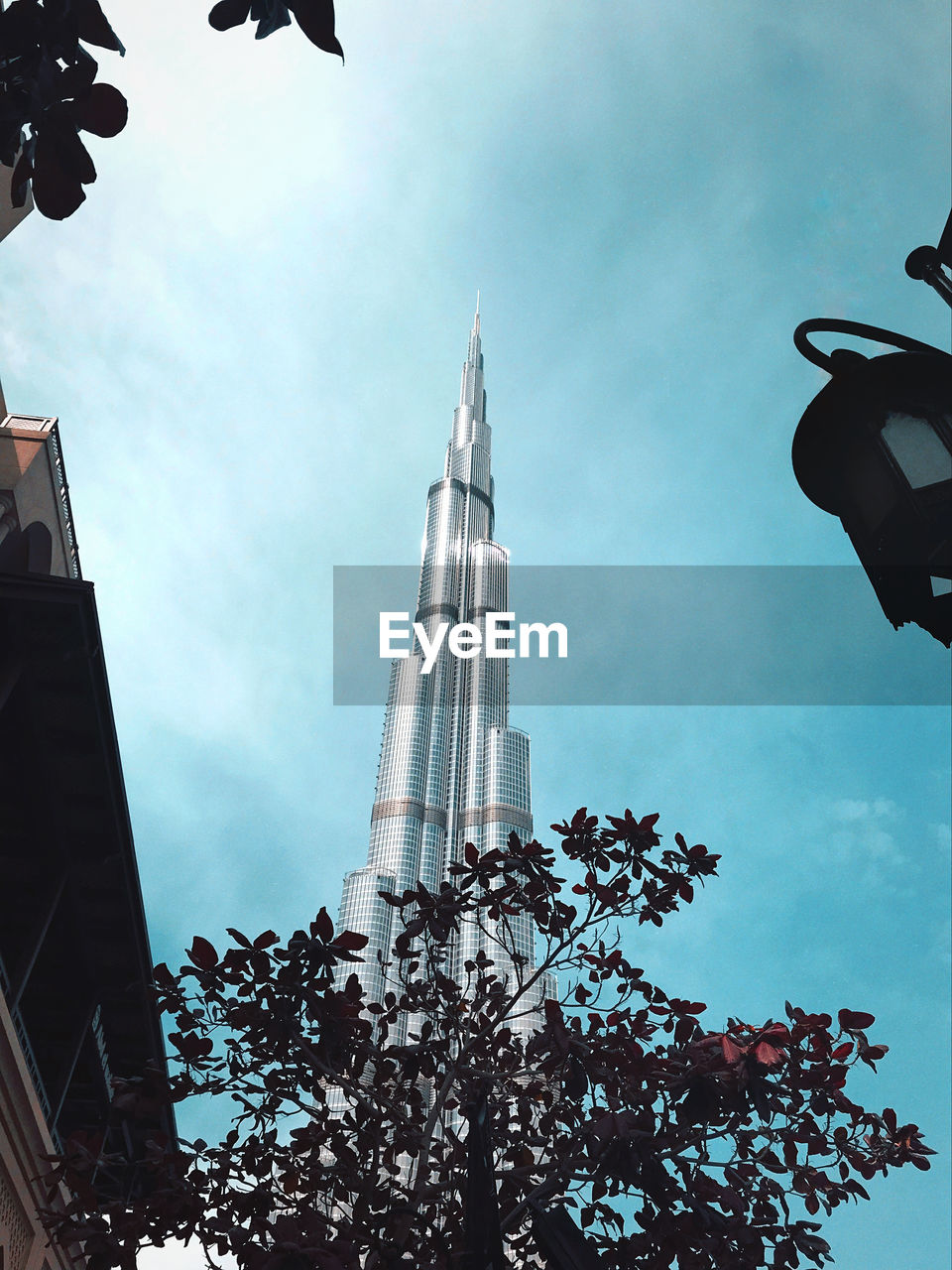 LOW ANGLE VIEW OF TREES AND BUILDING AGAINST SKY